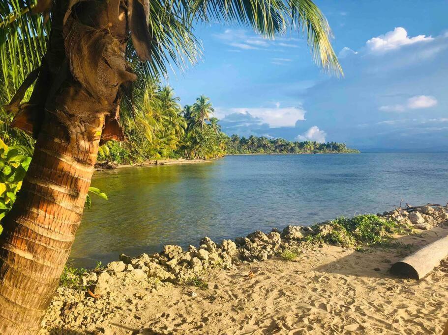 Caribbean Villages Aparments Bocas Town Bagian luar foto