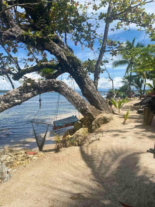 Caribbean Villages Aparments Bocas Town Bagian luar foto